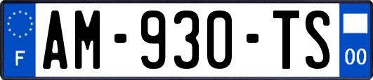 AM-930-TS