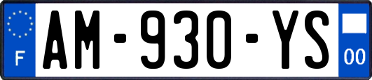 AM-930-YS