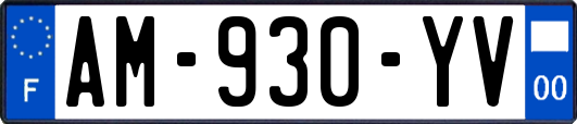 AM-930-YV