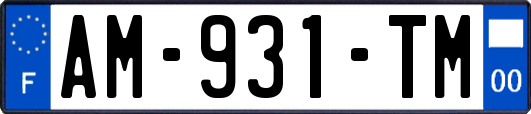 AM-931-TM