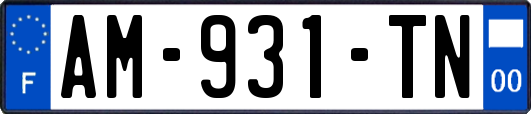 AM-931-TN