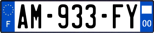 AM-933-FY