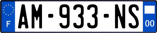 AM-933-NS