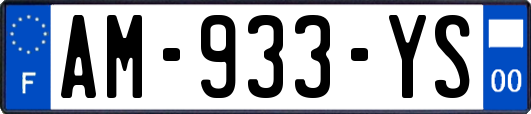 AM-933-YS