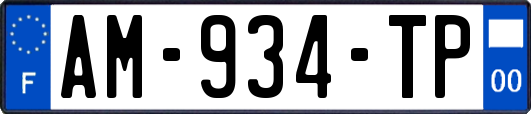 AM-934-TP