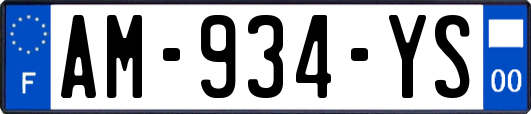 AM-934-YS