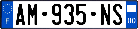 AM-935-NS