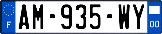 AM-935-WY