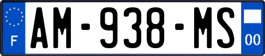 AM-938-MS