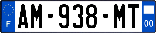 AM-938-MT