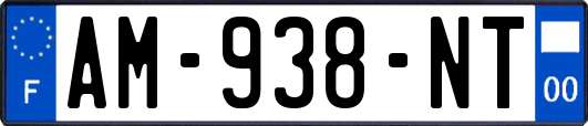AM-938-NT