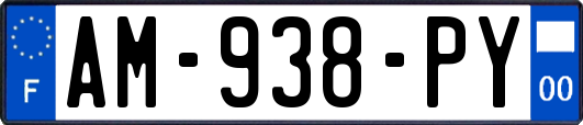 AM-938-PY