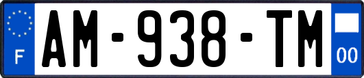 AM-938-TM