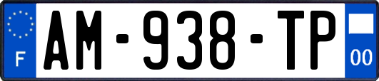 AM-938-TP