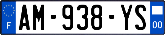 AM-938-YS