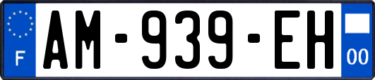 AM-939-EH