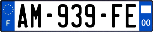 AM-939-FE