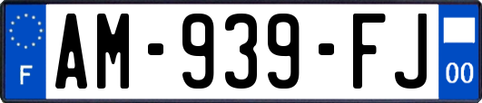 AM-939-FJ