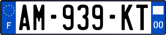 AM-939-KT