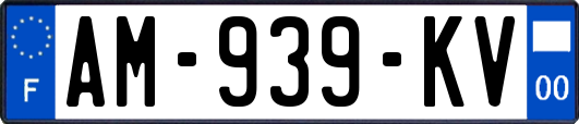 AM-939-KV