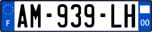 AM-939-LH