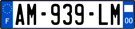 AM-939-LM