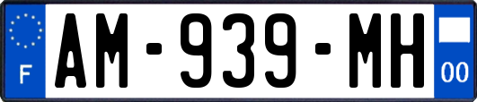 AM-939-MH