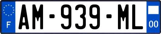 AM-939-ML