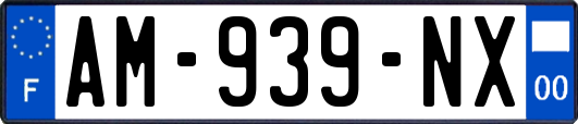 AM-939-NX
