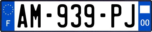 AM-939-PJ