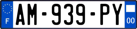 AM-939-PY