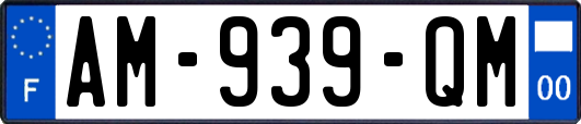 AM-939-QM