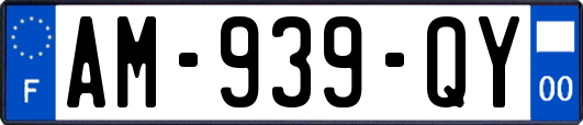 AM-939-QY