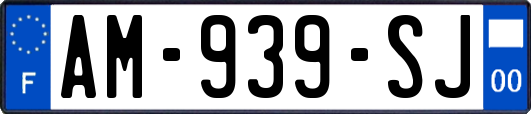AM-939-SJ
