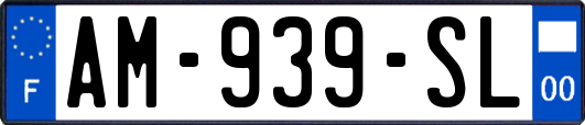 AM-939-SL