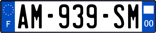AM-939-SM
