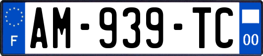 AM-939-TC