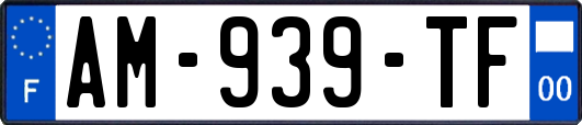 AM-939-TF