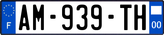 AM-939-TH