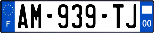 AM-939-TJ