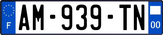 AM-939-TN