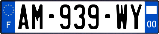 AM-939-WY