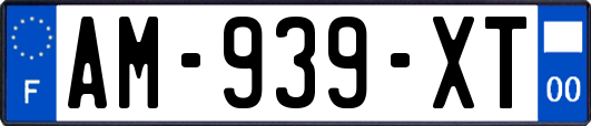 AM-939-XT