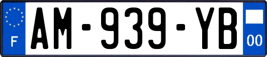 AM-939-YB