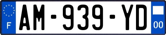 AM-939-YD