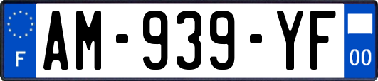 AM-939-YF