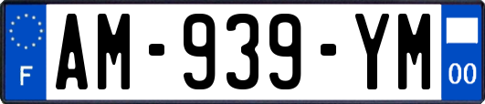 AM-939-YM