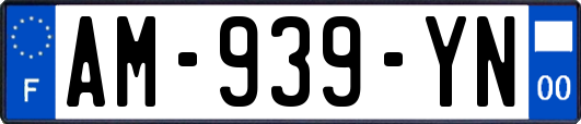 AM-939-YN