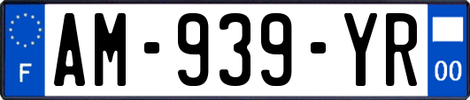 AM-939-YR