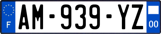AM-939-YZ
